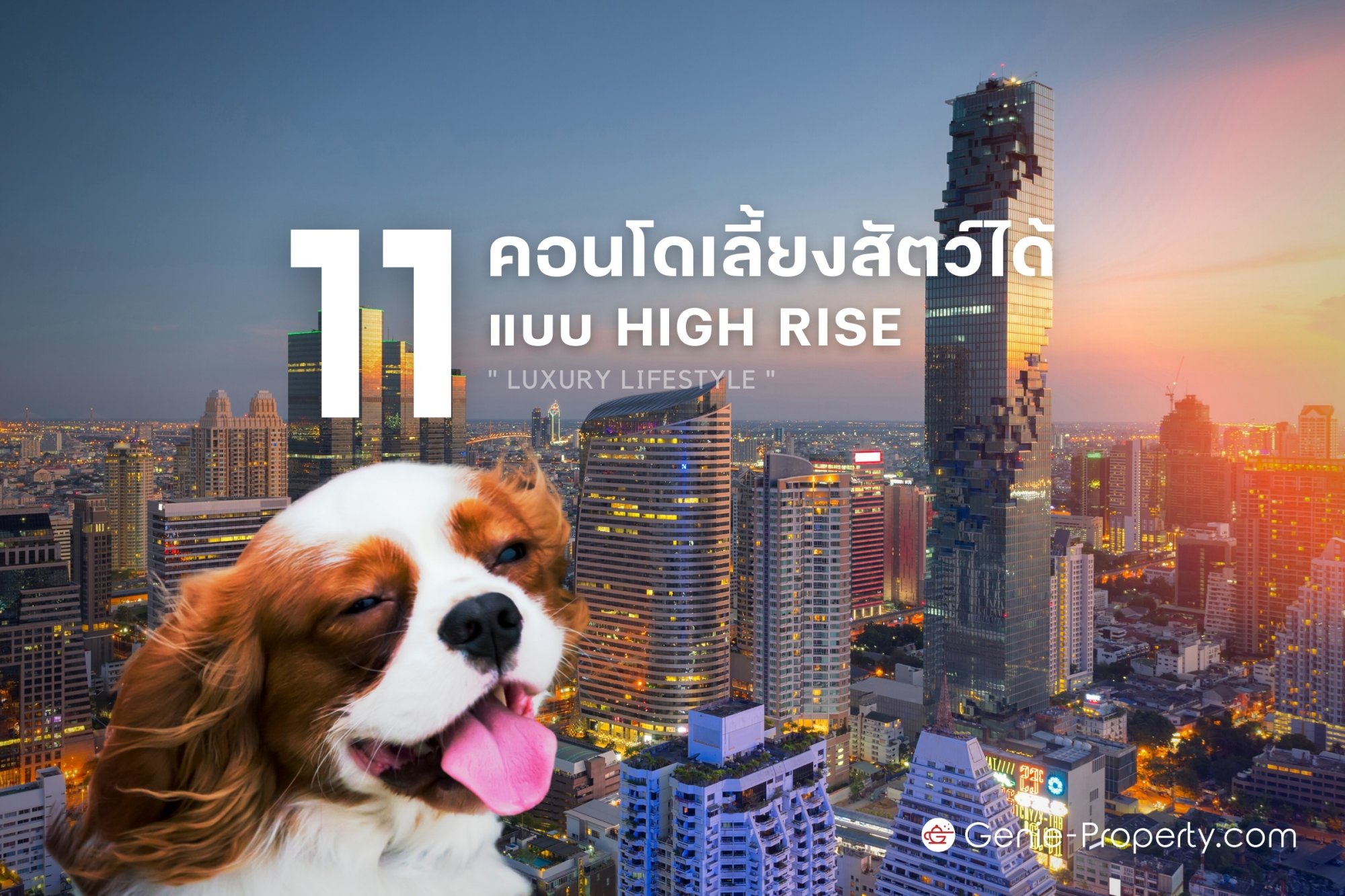 image for 11 คอนโด เลี้ยงสัตว์ได้ แบบ High Rise ทาสหมาแมวแนว Luxury Lifestyle ไม่ควรพลาด