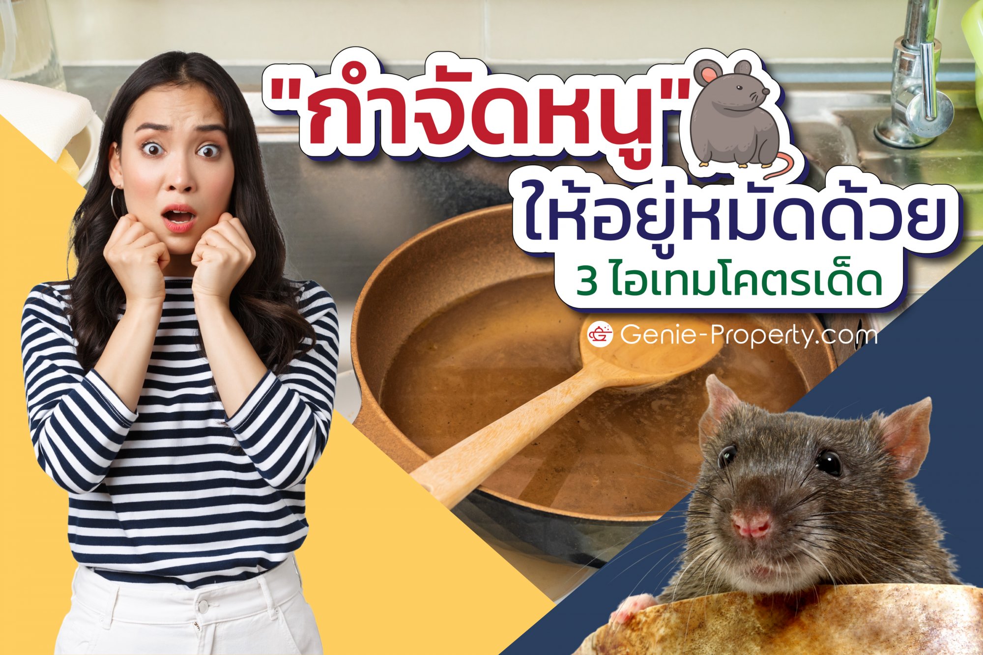 image for "กำจัดหนู" ให้อยู่หมัดด้วย 3 ไอเทมโคตรเด็ด