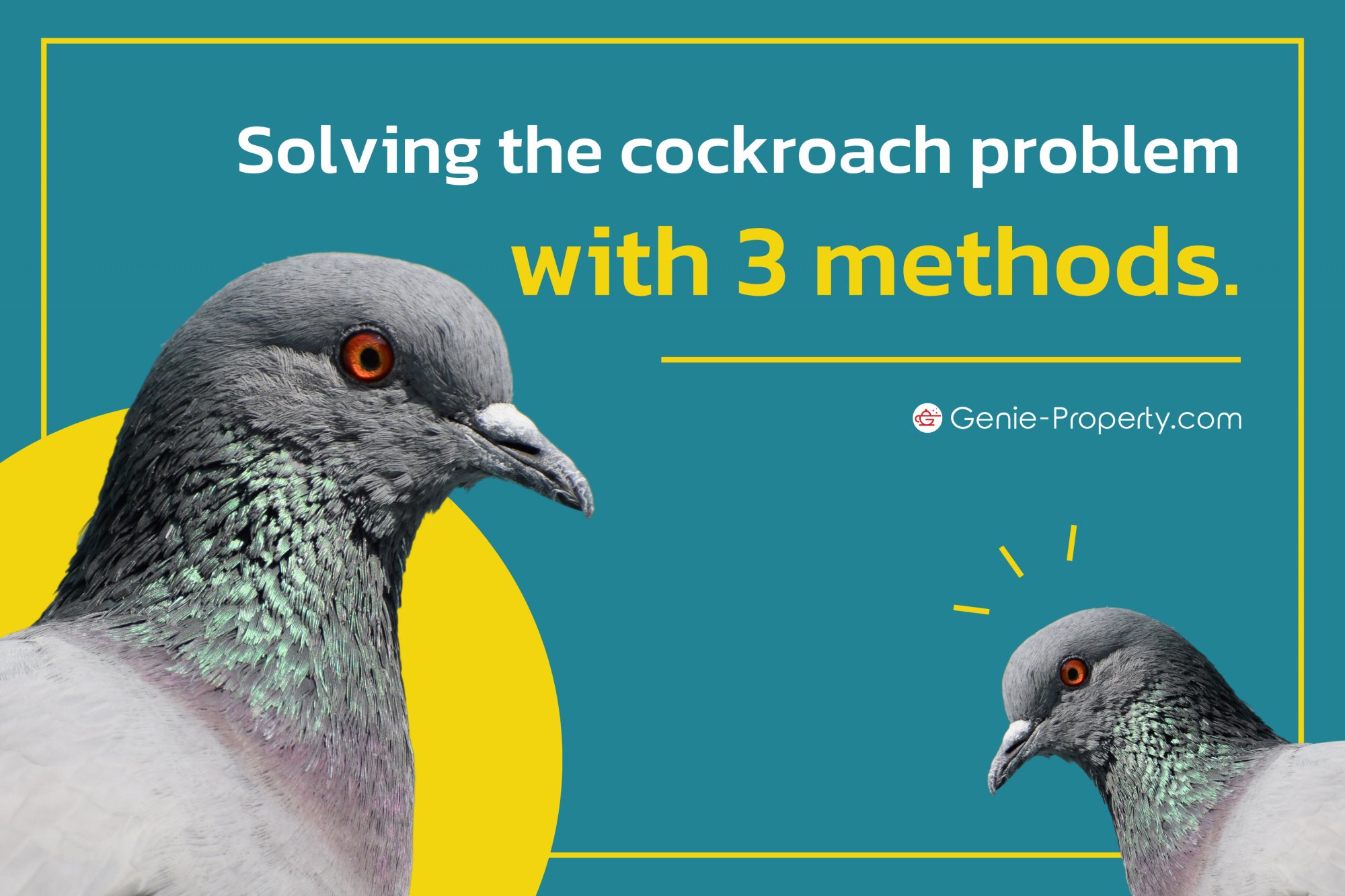 image for Solving the cockroach problem with 3 methods.